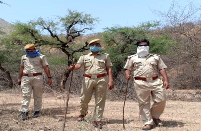 आखातीज: शिकारियों पर लगाम के लिए जंगल में गश्त, उप वन संरक्षक ने टीमें बनाकर दिए थे निगरानी के निर्देश