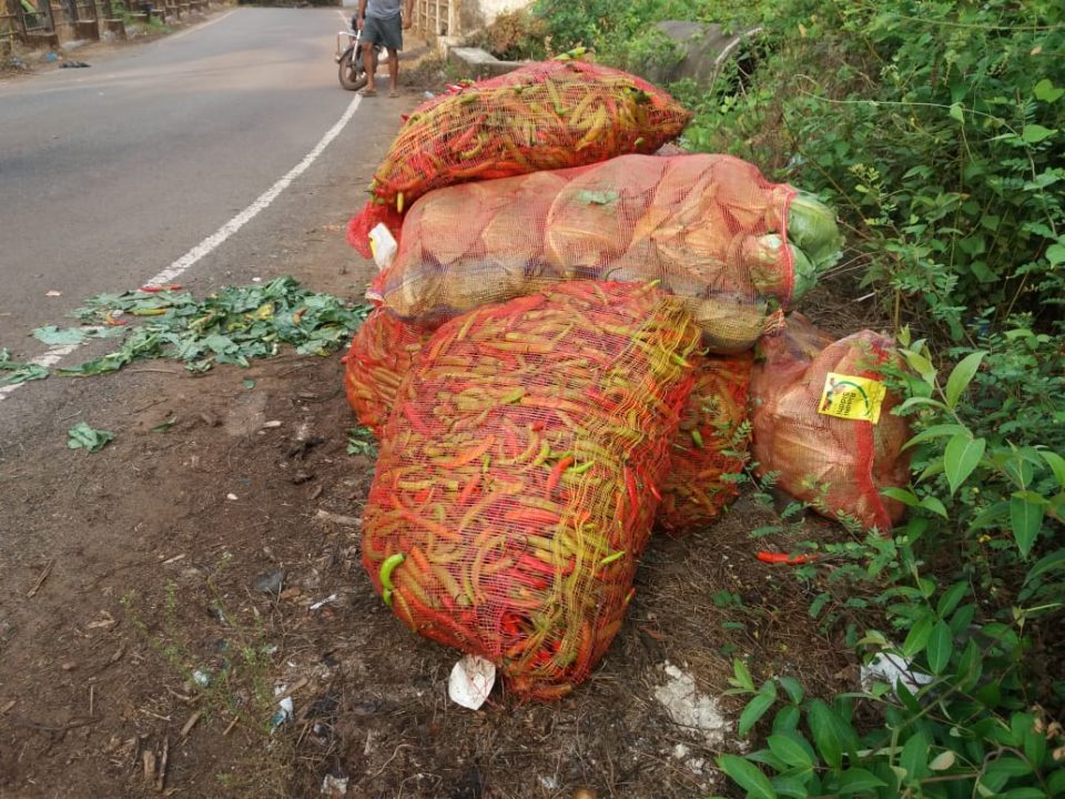 गोवा-बेलगावी सीमा पर सब्जी की बोरियां फेंके पणजी