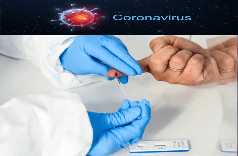 Covid-19: क्या ऊंट के शरीर में मिले एंटीबॉडीज से कोरोना का इलाज संभव हो पाएगा ?