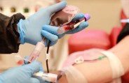 Maha Corona: राज्य की पहली Plasma थेरेपी आर्थिक राजधानी मुंबई में, BMC के इस अस्पताल में सुविधा...