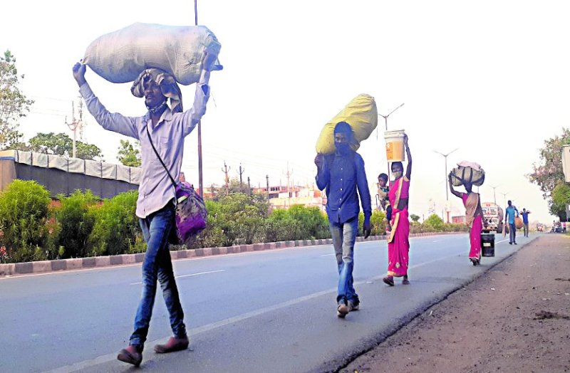 Workers are forced to walk hundreds of kilometers in the full sun ...