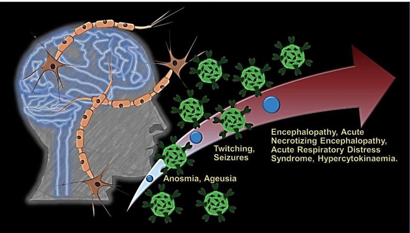 IIT jodhpur research on symptoms of coronavirus