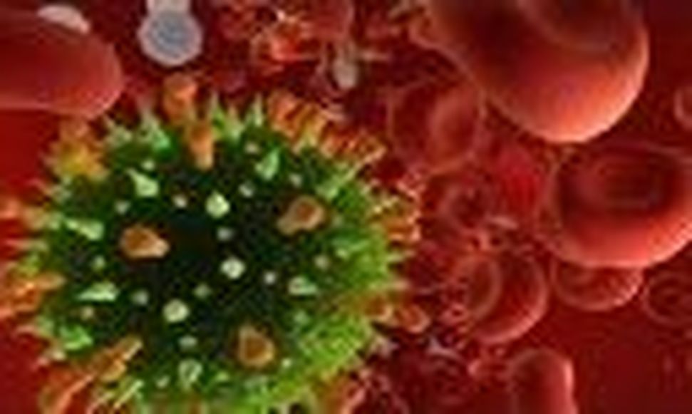 तीन नए कोरोना मरीज सामने आए