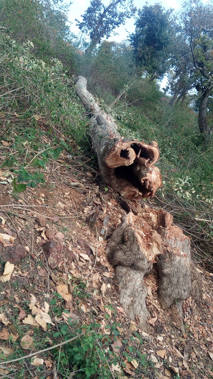 Farmer working in field attacked with ax