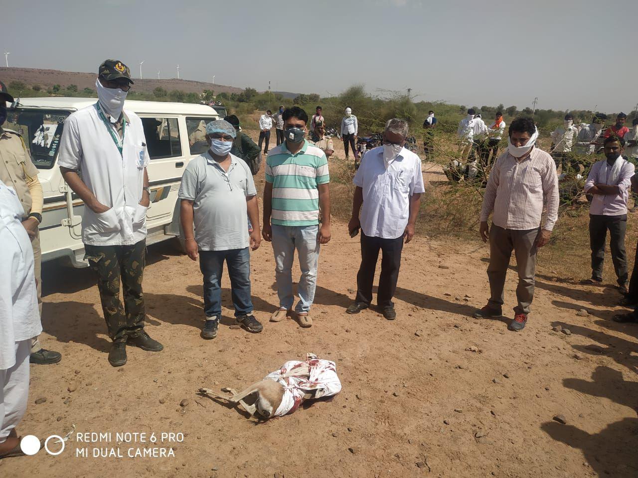 wildlife animals poaching has become unstoppable in jodhpur