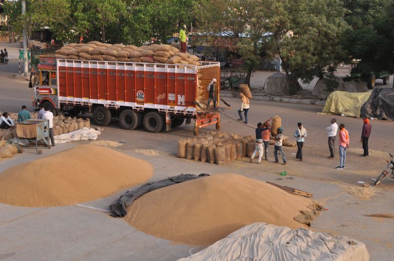 ट्रक में गेहूं के थैले भरते श्रमिक