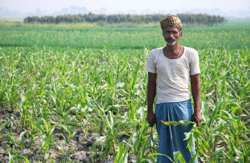 रायपुर : किसानों को हुआ 634 करोड़ का फसल बीमा दावा भुगतान, 15 जुलाई तक फसलों का बीमा