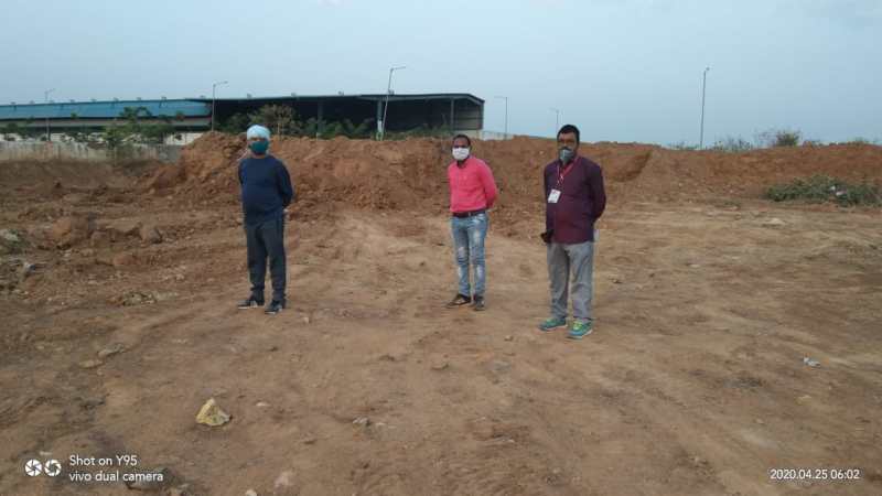 Boar farm will be built outside the city