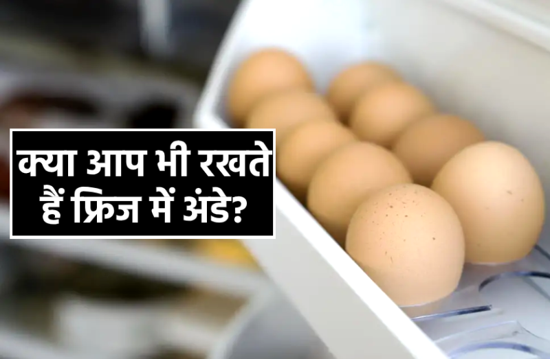क्या आप भी रखते हैं फ्रिज में अंडे? इन बातों को जानने के बाद कभी नहीं रखेंगे
