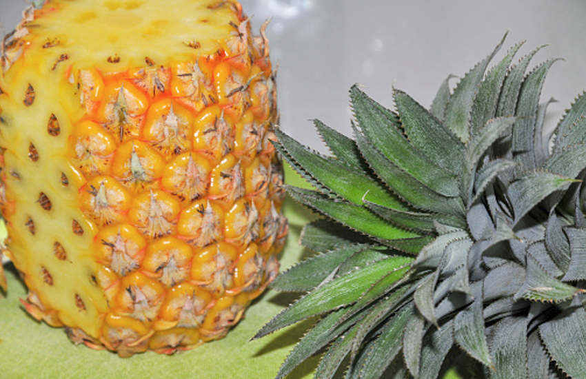 Immunity Booster: Eat Pineapple Peel and Improve immunity in Easily