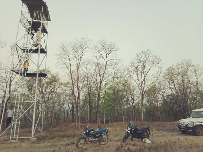 सुरक्षा वॉच टावर में खड़े होकर वनों और वन्यप्राणियों रख रहे नजर,