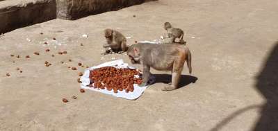 Short video poster image