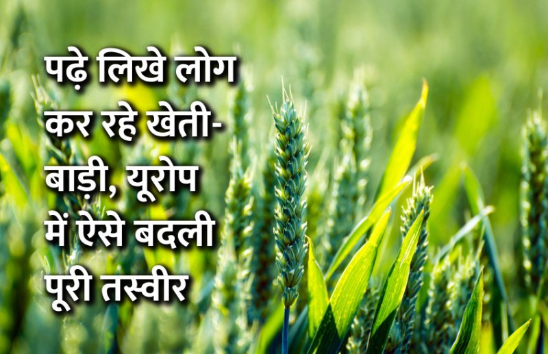 startups, success mantra, start up, Management Mantra, motivational story, career tips in hindi, inspirational story in hindi, motivational story in hindi, business tips in hindi,  corona virus, corona