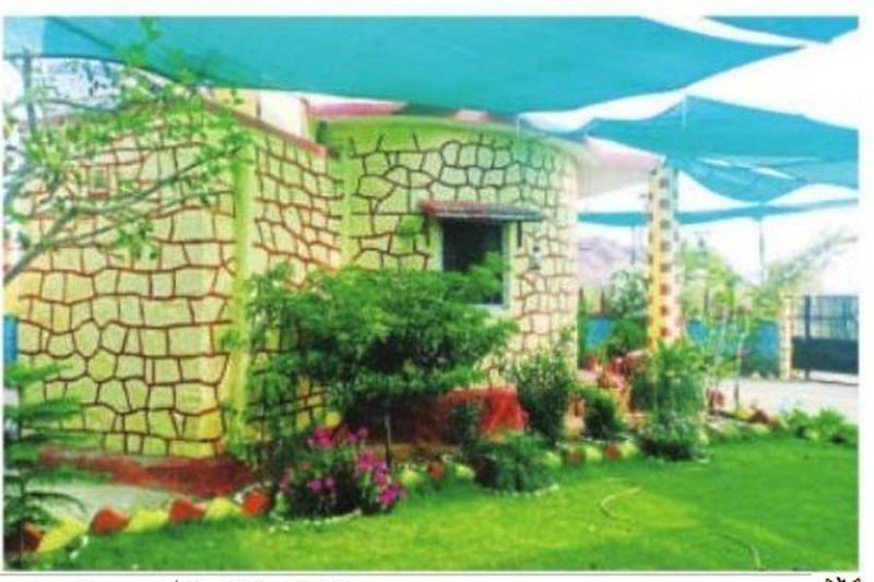 watering plants through timer sensor formula during lockdown