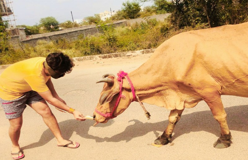 प्रदेशाध्यक्ष विशाल कुकरेजा ने समझा बेजुबानों का दर्द, गौ माता और पशुओं की भूख मिटाने कर रहे अनोखी पहल