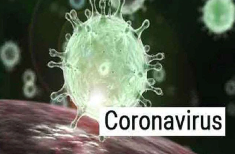 Coronavirus: 'हमें वायरस के साथ जीना सीखना होगा'