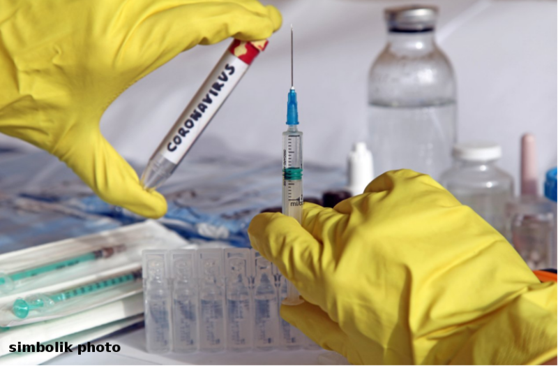 कोरोनावायरस की वैक्सीन का बंदरों पर किया गया प्रभावी परीक्षण