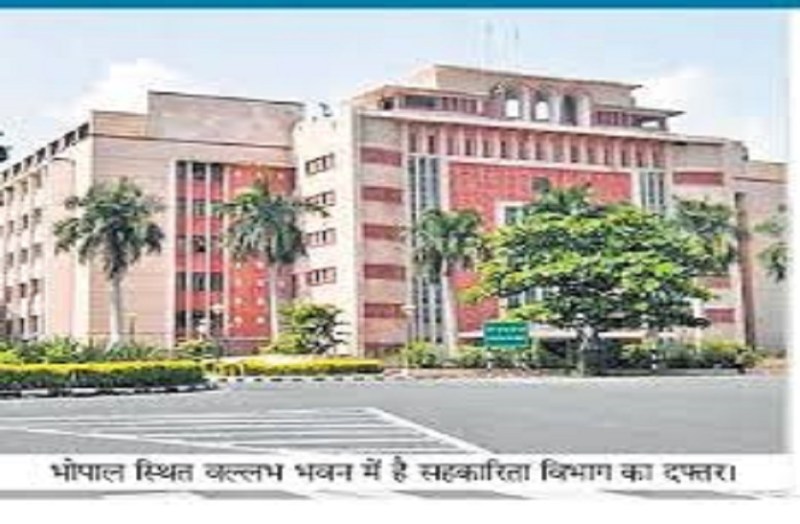 प्रदेश में लगेंगे 17 लाख से अधिक बांस के पौधे, लाभान्वित होंगे बांस उत्पादक