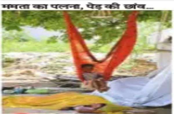 वो ममता का पलना और पेड़ की छांव  .. . ..