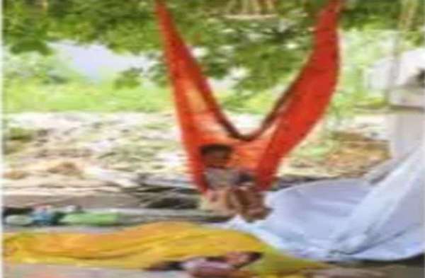 वो ममता का पलना और पेड़ की छांव  .. . ..