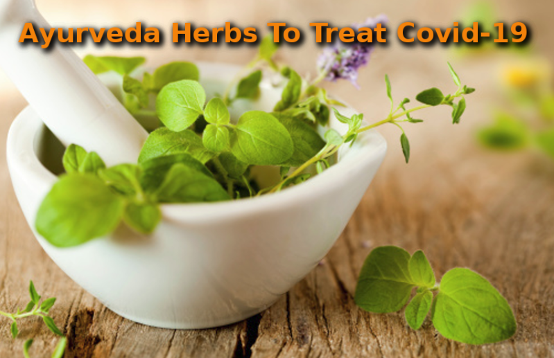 Coronavirus Update: Found Ayurveda Herbs To Treat Covid-19