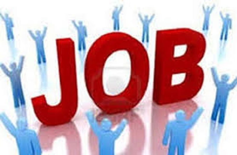राजस्थान में 9 हजार बेरोजगारों को सरकार देगी नौकरी का तोहफा, कवायद शुरू