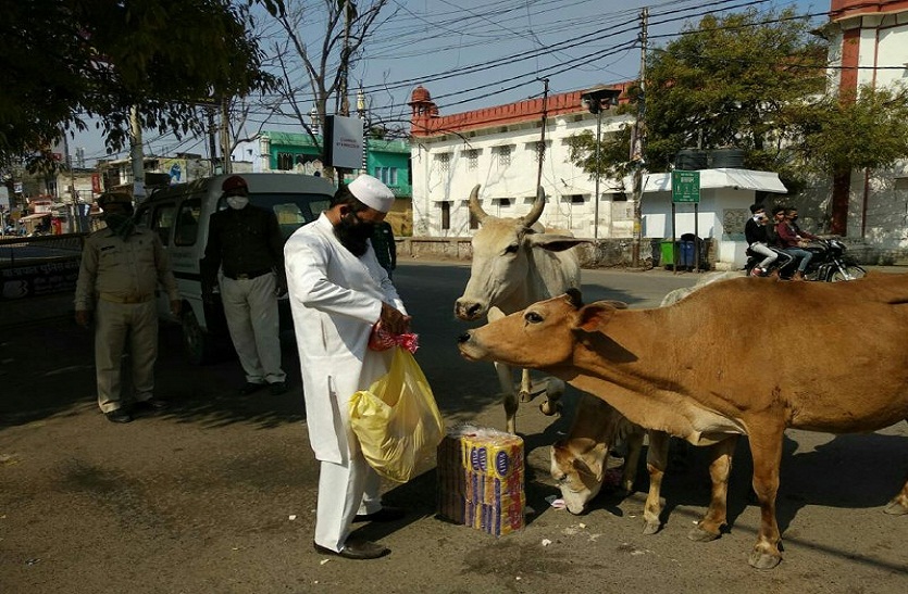 कोरोना कर्मवीर: रोजा रख कर गायों की सेवा में जुटे हैं नदीम