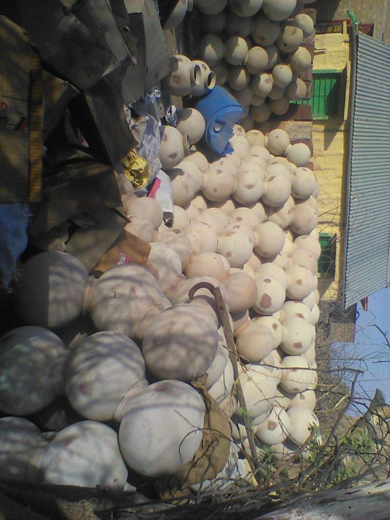 जो भूले उन्हें भी याद आई माटी की सुगंध