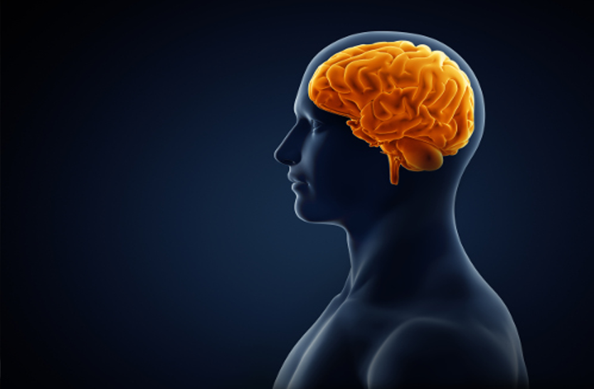 Brain health: मुश्किल फैसले हमारे दिमाग की प्राथमिकताओं को प्रभावित करते हैं