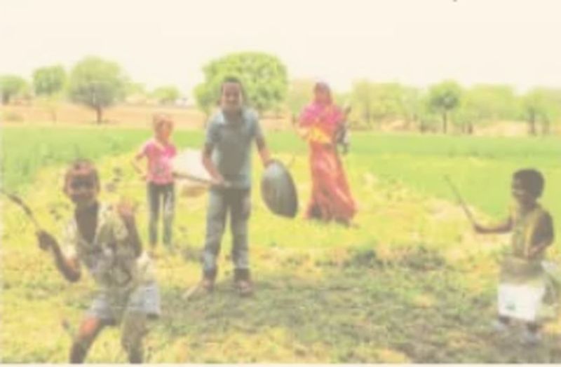 अलाव जलाए तालियां बजाई दवा छिडक़ाव से टिड्डियां हुईं धराशायी