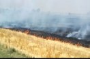 नौलाइयां नहीं, जला रहे खेत की ताकत, खेतों में लगा रहे आग
