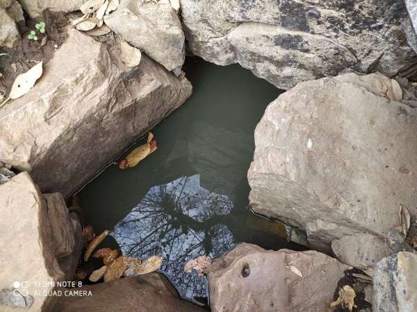 Stones of forest in a 70-foot hill under a watery foot