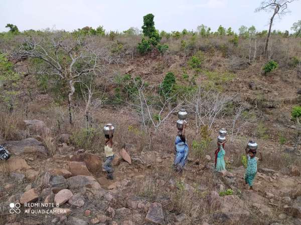 Stones of forest in a 70-foot hill under a watery foot