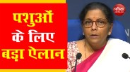 Nirmala Sitharaman 