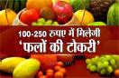 100-250 रुपए में मिलेगी 'फलों की टोकरी', जानिए कौन-कौन से होंगे फल 
