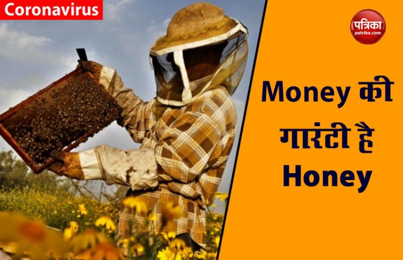honey BUSINESS IN INDIA