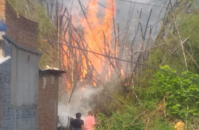 लॉकडाउन के बीच बांस पेड़ में लगी भीषण आग, फायर ब्रिगेड की टीम ने ग्रामीणों के साथ घंटों मशक्कत के बाद आग पर पाया काबू