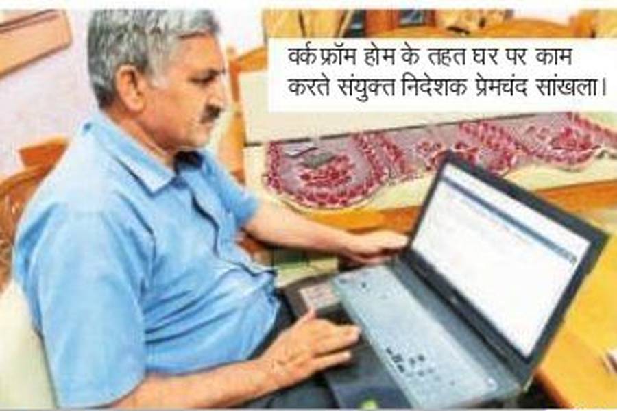jodhpur education department 60 percent teachers are working from home
