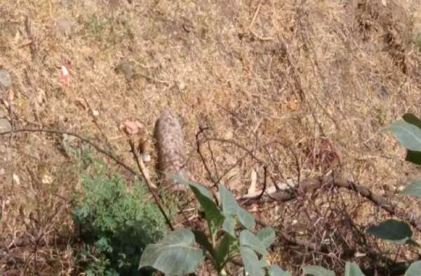 सैन्य क्षेत्र के नजदीक बम मिलने से हड़कंप