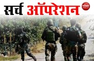 search operation