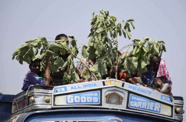 धूप से बचने का जतन