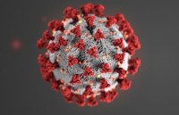 Education, interview, exam, online test, rojgar samachar, interview tips, online exam, Mock Test, general knowledge, GK, interview questions, jobs in hindi, rojgar, competition exam, mock test paper, sarkari job, questions Answers, GK mock test, Exam Guide, General Science Questions, Questions and answers, common general knowledge questions and answers, common general knowledge questions and answers