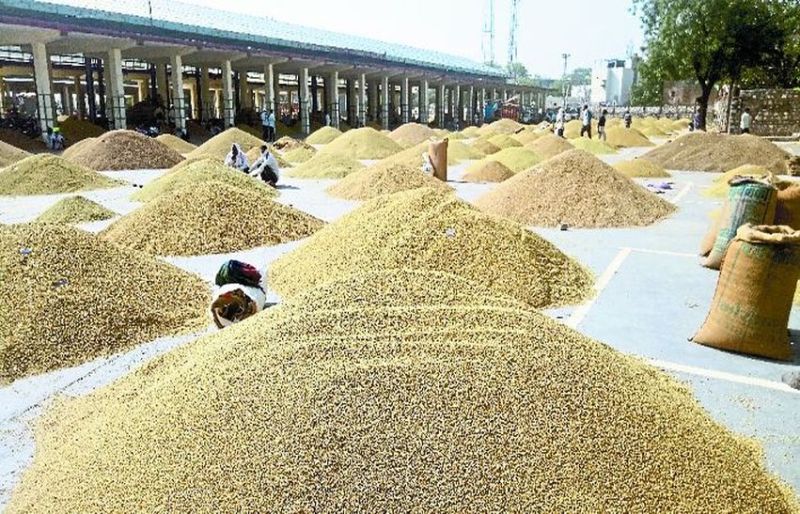 लॉकडाउन की अवधि में पहली बार धनिया की इतनी आवक