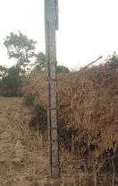 सालावास में विद्युत कटौती से परेशान ग्रामीण