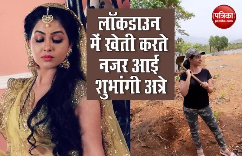 Shubhangi Atre seen farming in lockdown