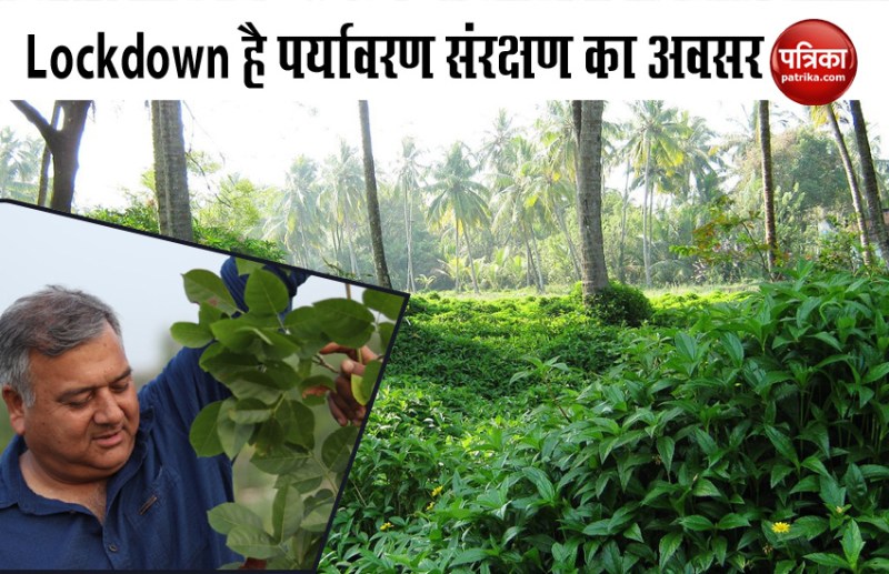 peepal baba encouraging for plantation