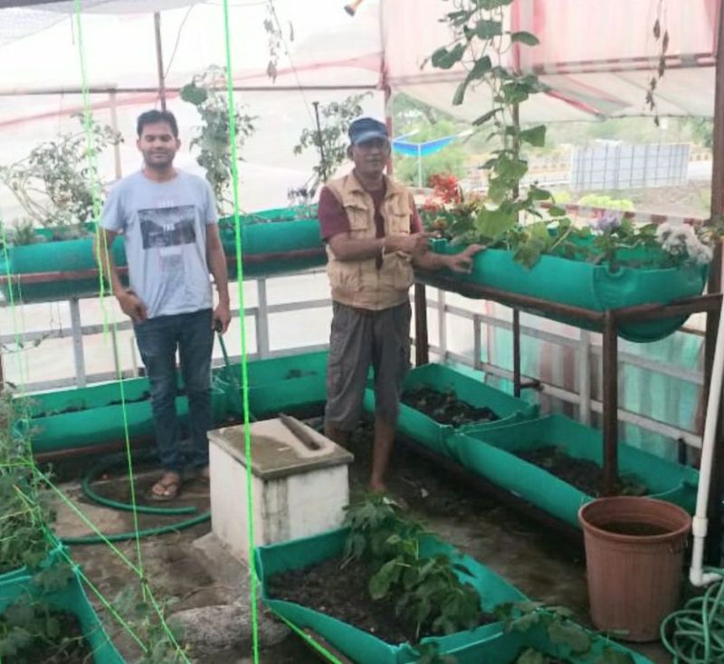घर की छत पर न्यूट्रीगार्डन में उगाएं सब्जियां, लॉकडाउन में लें स्वास्थ्य लाभ
