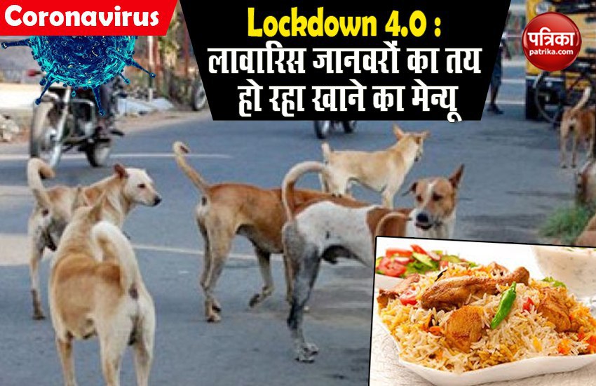 Lockdown में लावारिस जानवरों को खाने में मिल रहा चिकन बिरयानी, हर दिन के हिसाब से तय हो रहा Menu