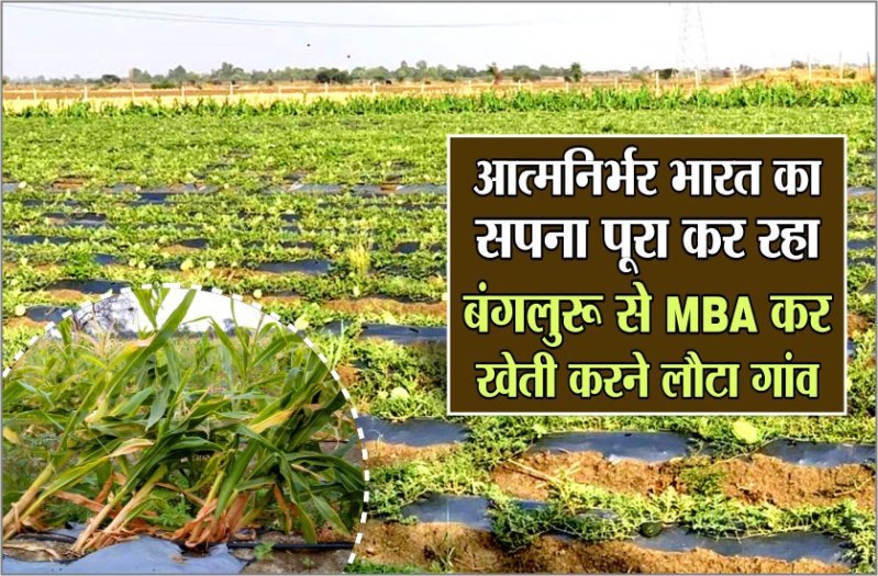मिलिए आत्मनिर्भर एमबीए पास किसान से, किसानी से कमा रहा तीन गुना लाभ