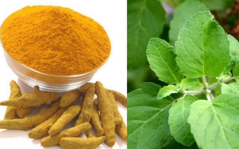 Turmeric and Tulsi